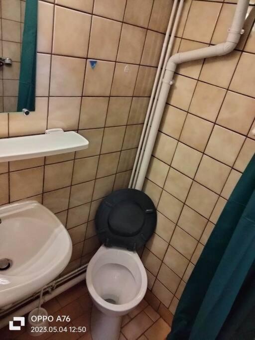 Le Nid Douillet Industriel Apartment La Bourboule Bagian luar foto